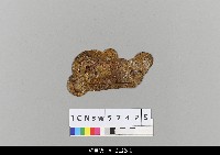 藏品(中國湖北皮影戲盔帽)的圖片